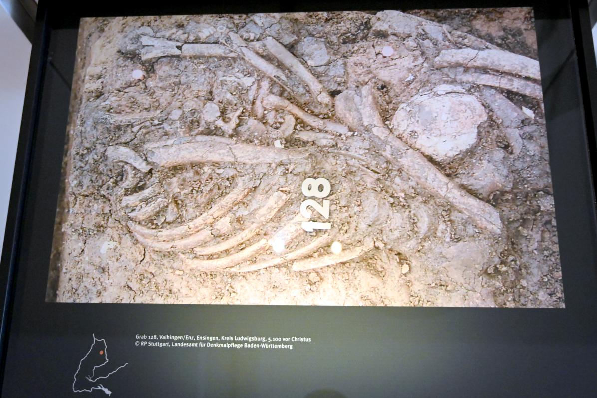Vaihingen an der Enz, K1697, Bandkeramische Siedlung, 5300 - 5100 v. Chr., Bild 2/2