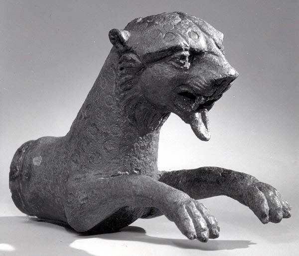 Forepart of a leopard