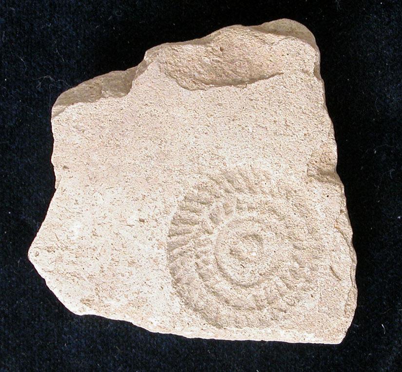Sherd