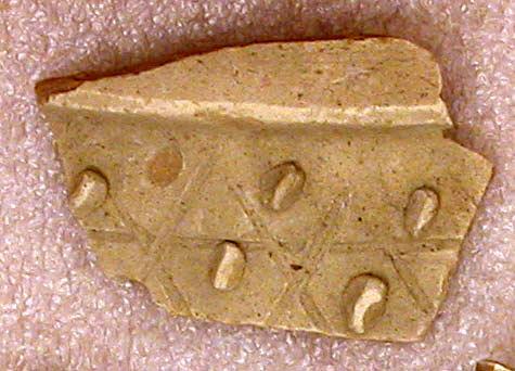 Sherd