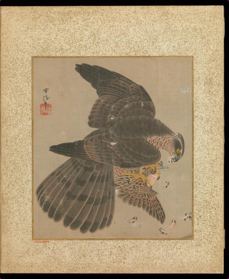 Album of Hawks and Calligraphy, Image 10/23
