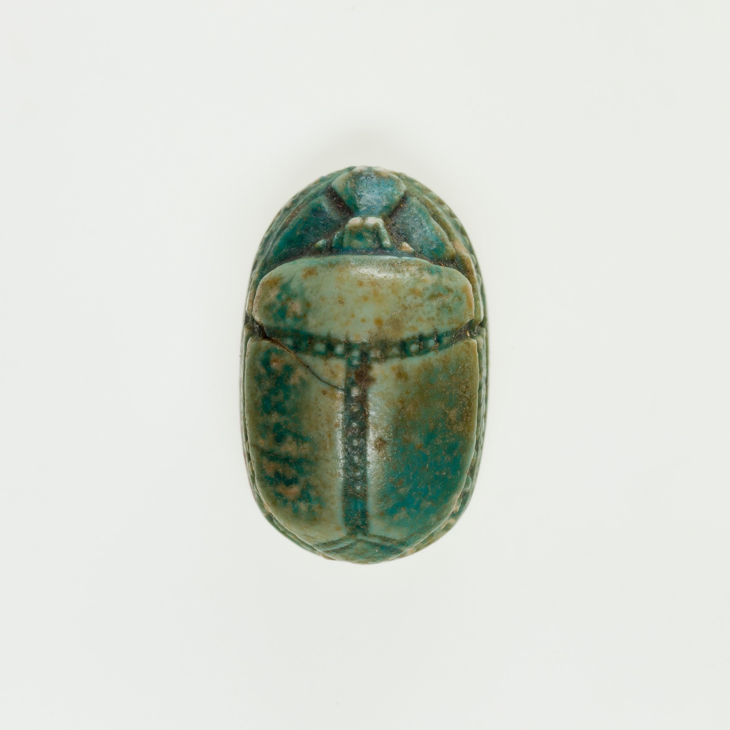 Scarab Incised with Circles and Lotus Flowers, Image 4/4