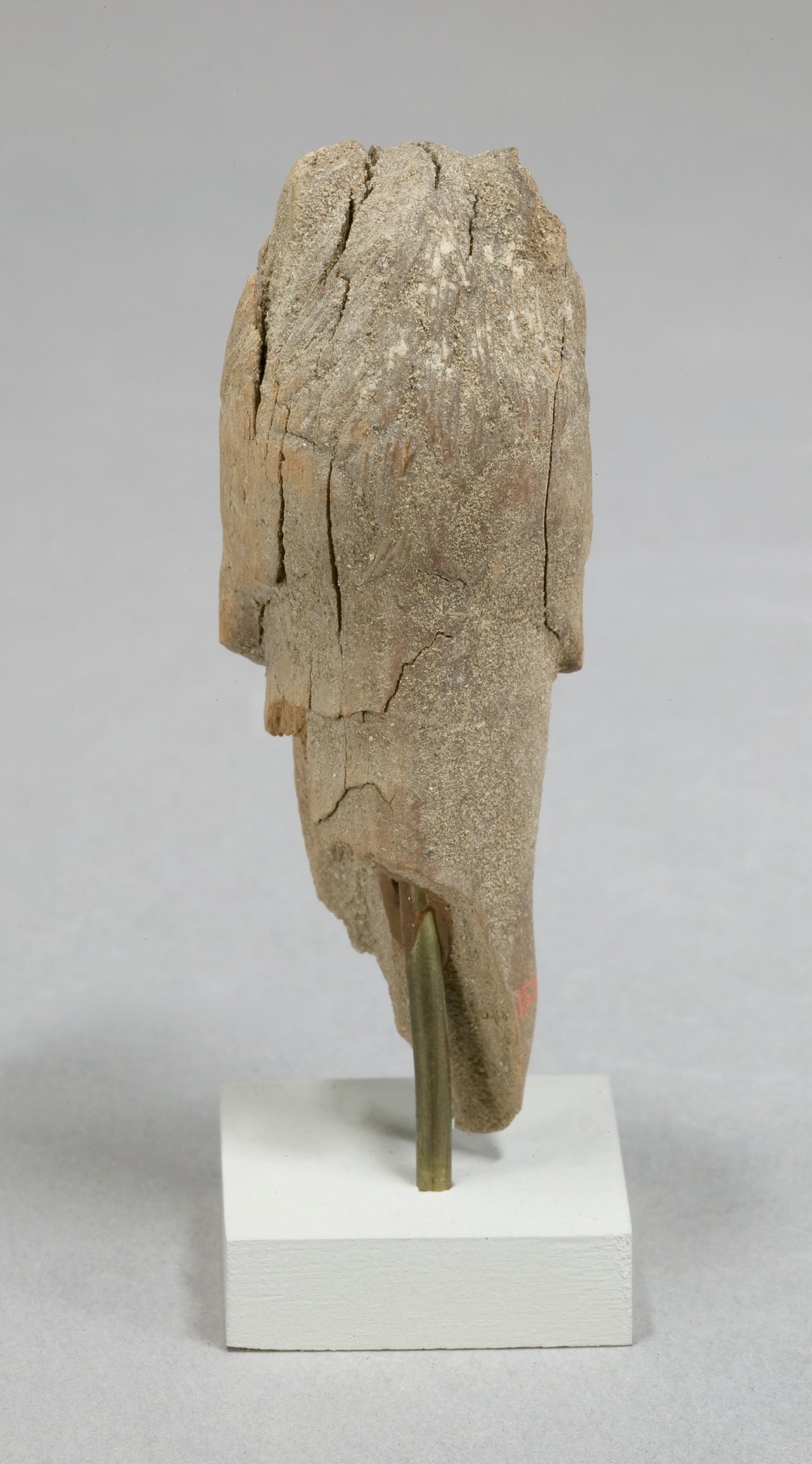 Lion, Image 2/3