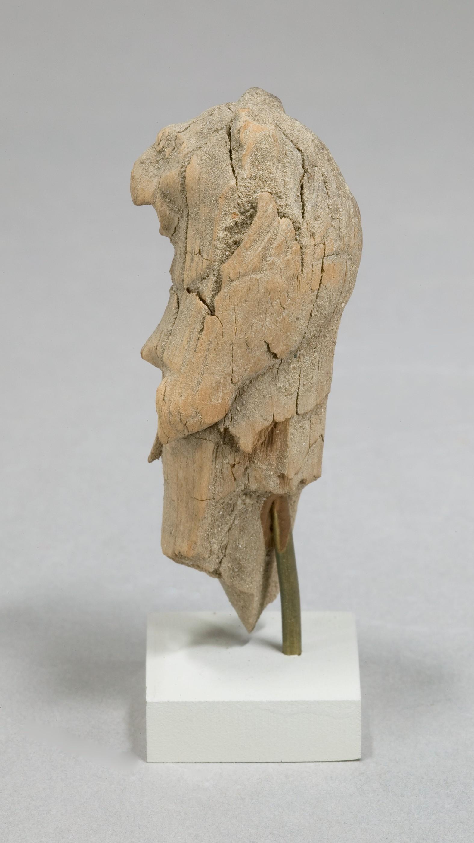 Lion, Image 3/3