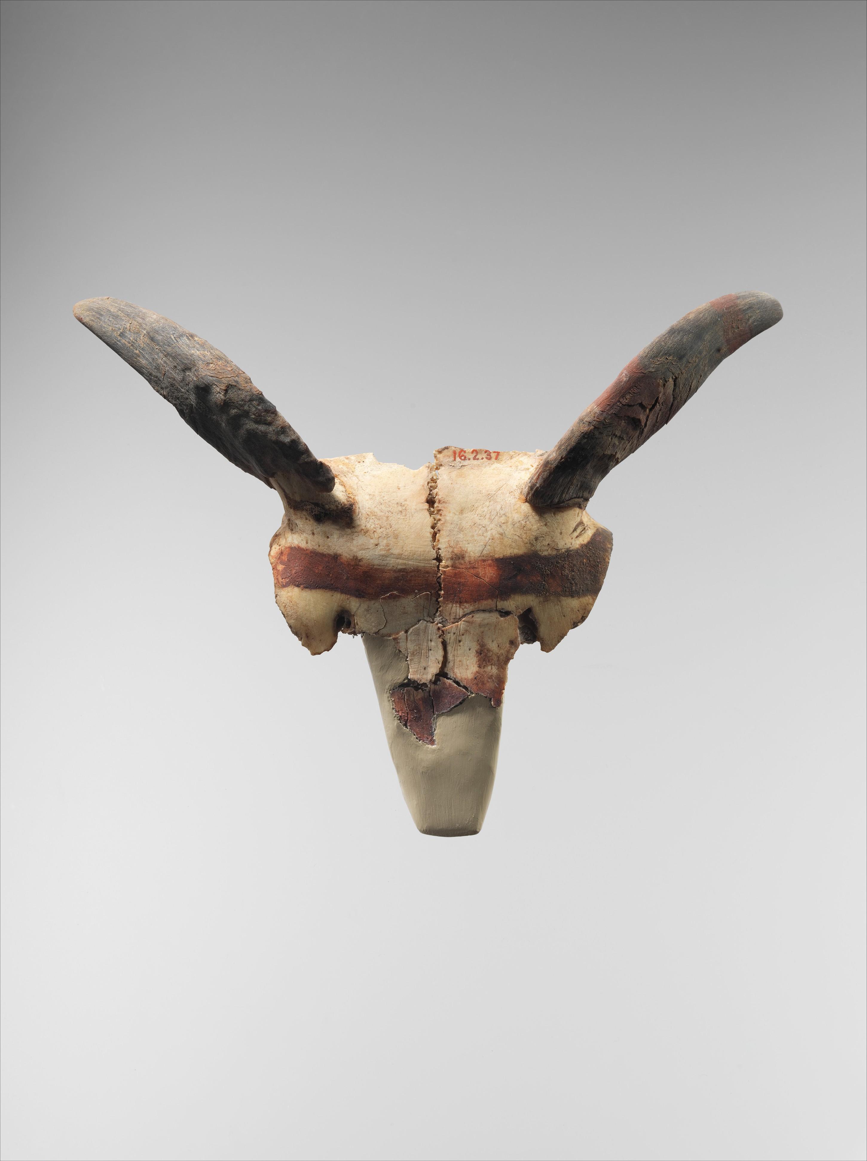 Bucranium