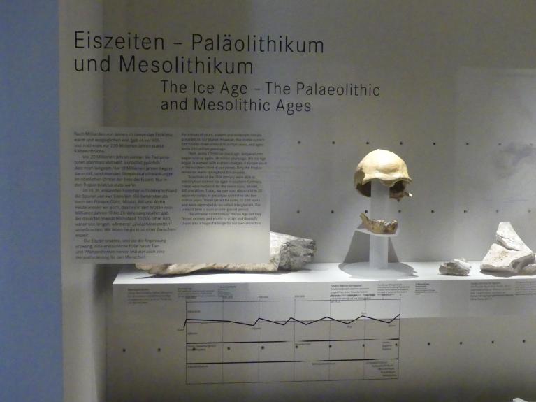 Nürnberg, Germanisches Nationalmuseum, Alt- und Mittelpaläolithikum, Bild 1/2