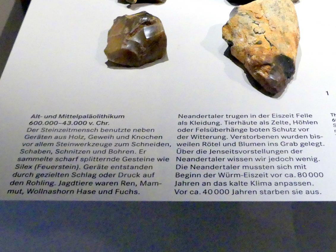 Nürnberg, Germanisches Nationalmuseum, Alt- und Mittelpaläolithikum, Bild 2/2