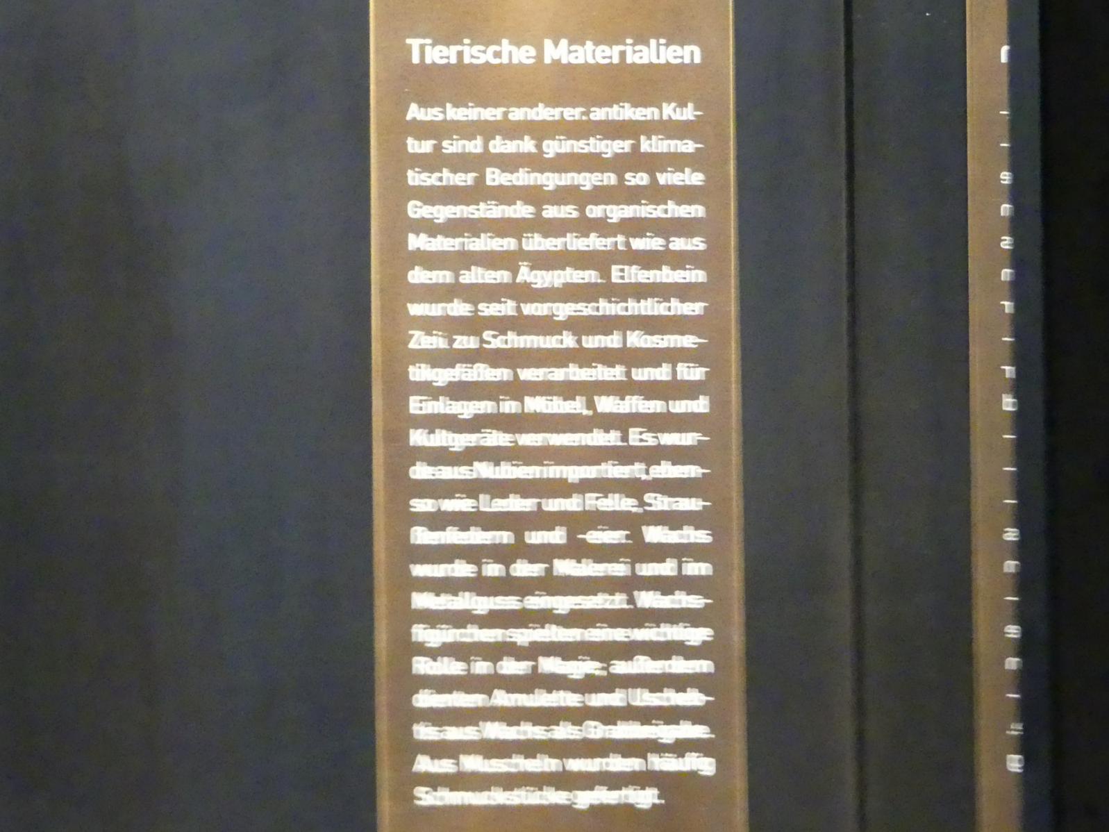München, Staatliches Museum Ägyptischer Kunst, Saal 9, Bild 19/19