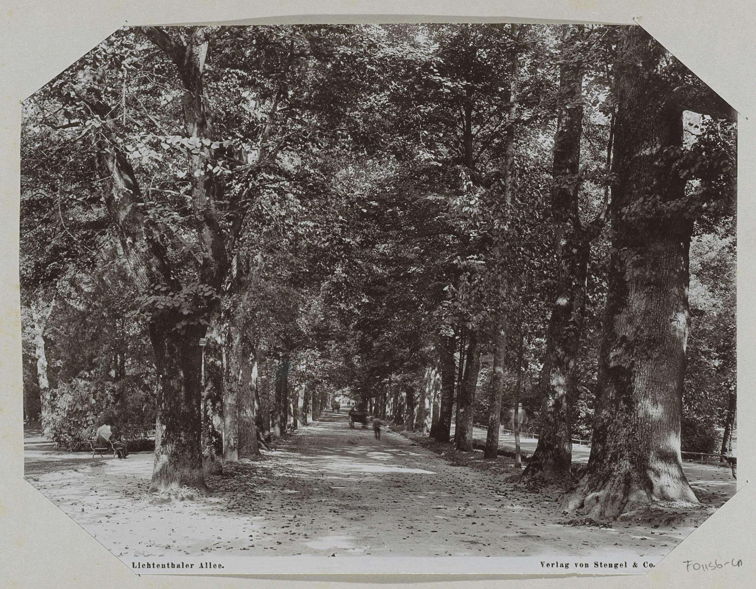 Bomen aan de Lichtenthaler Allee te Baden-Baden