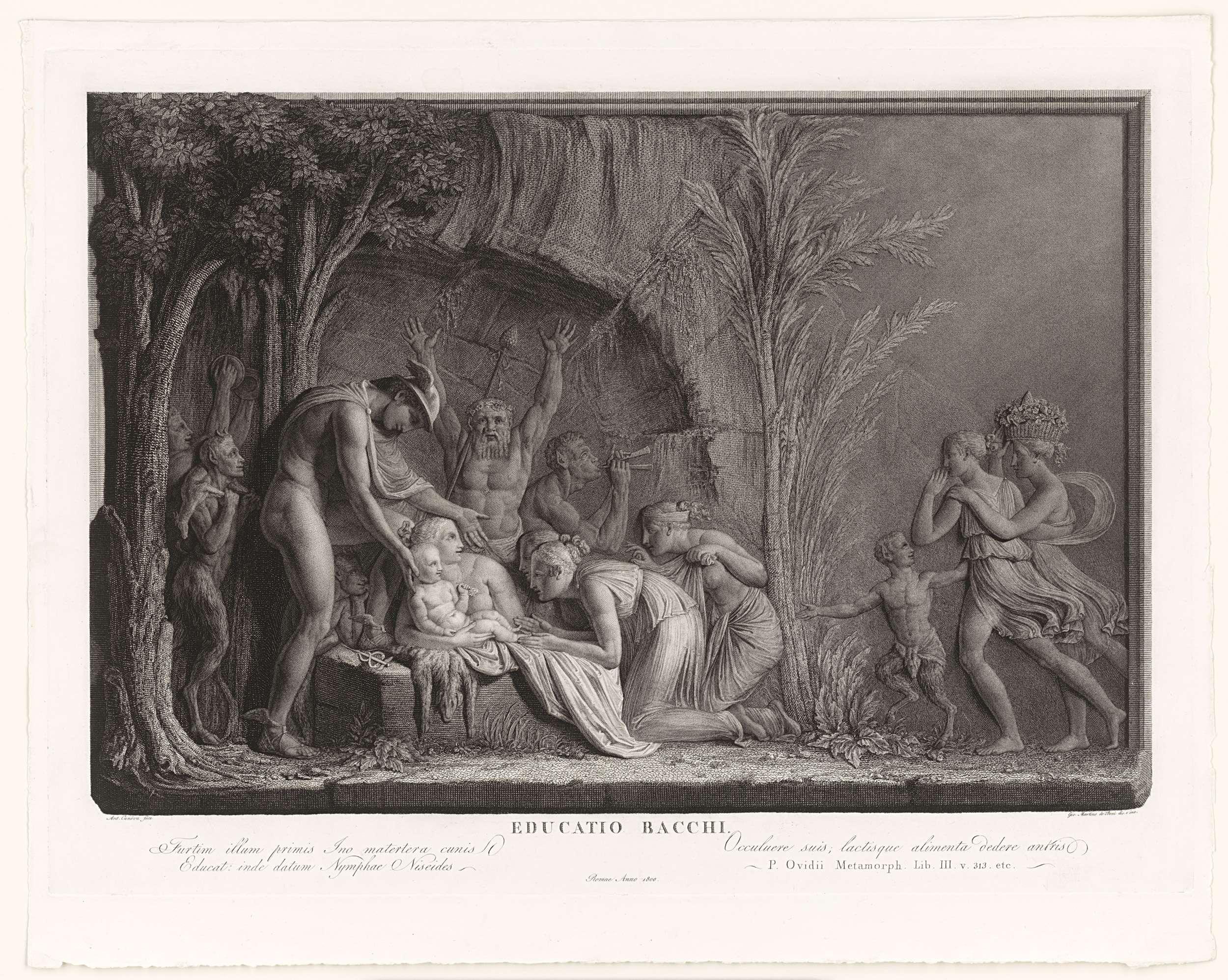 The Education of Bacchus