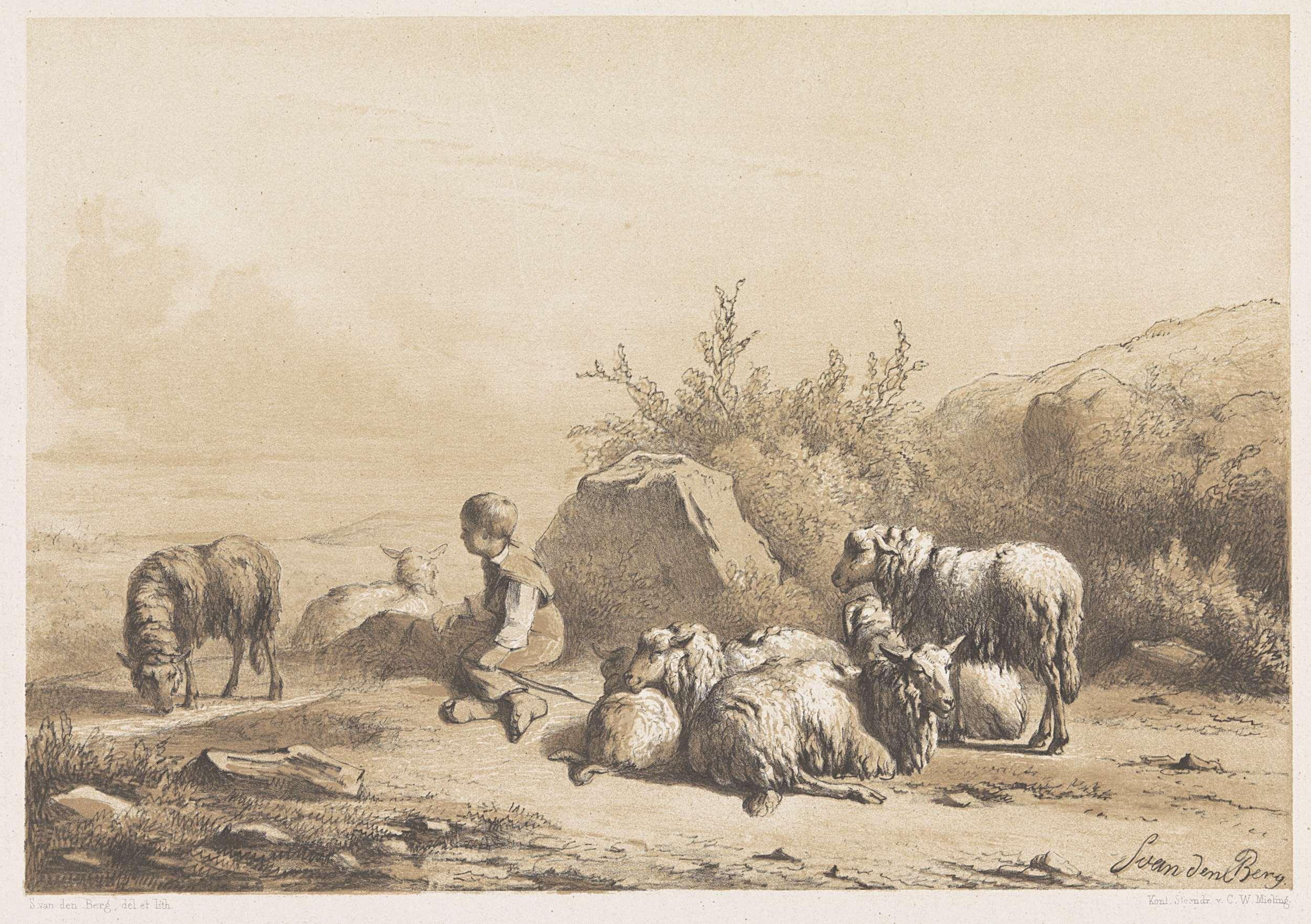 Herder en schapen