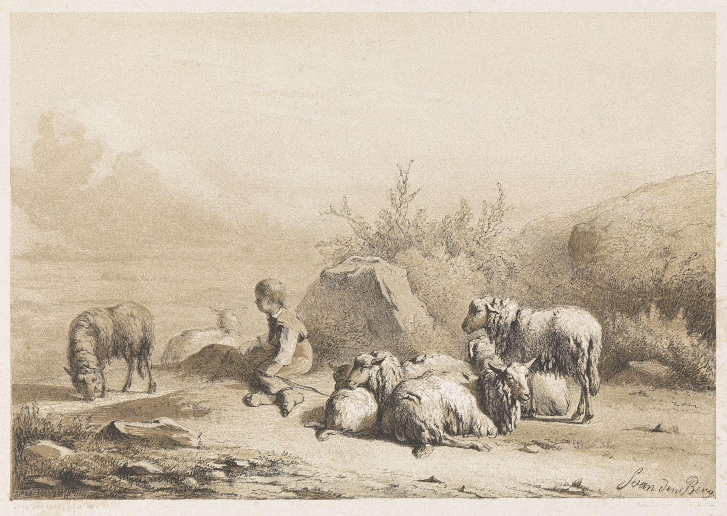 Herder en schapen