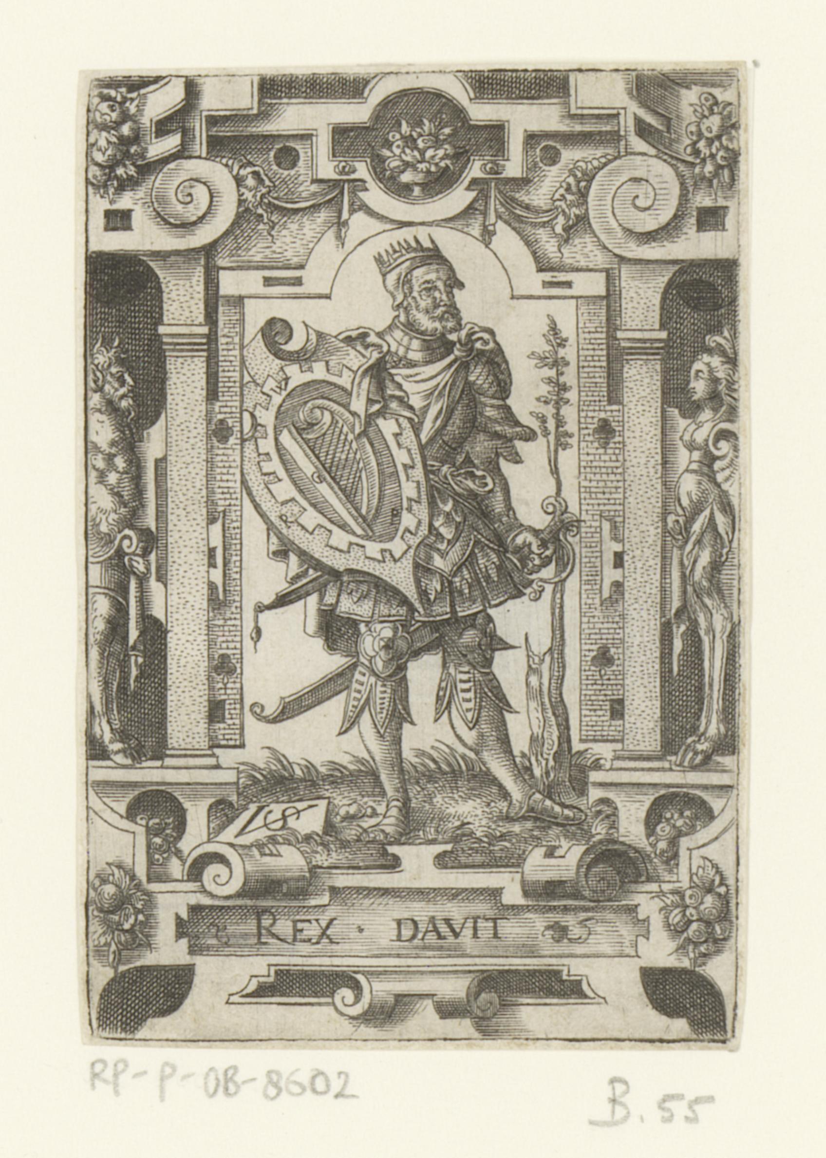 David met wapenschild in rolwerk omlijsting