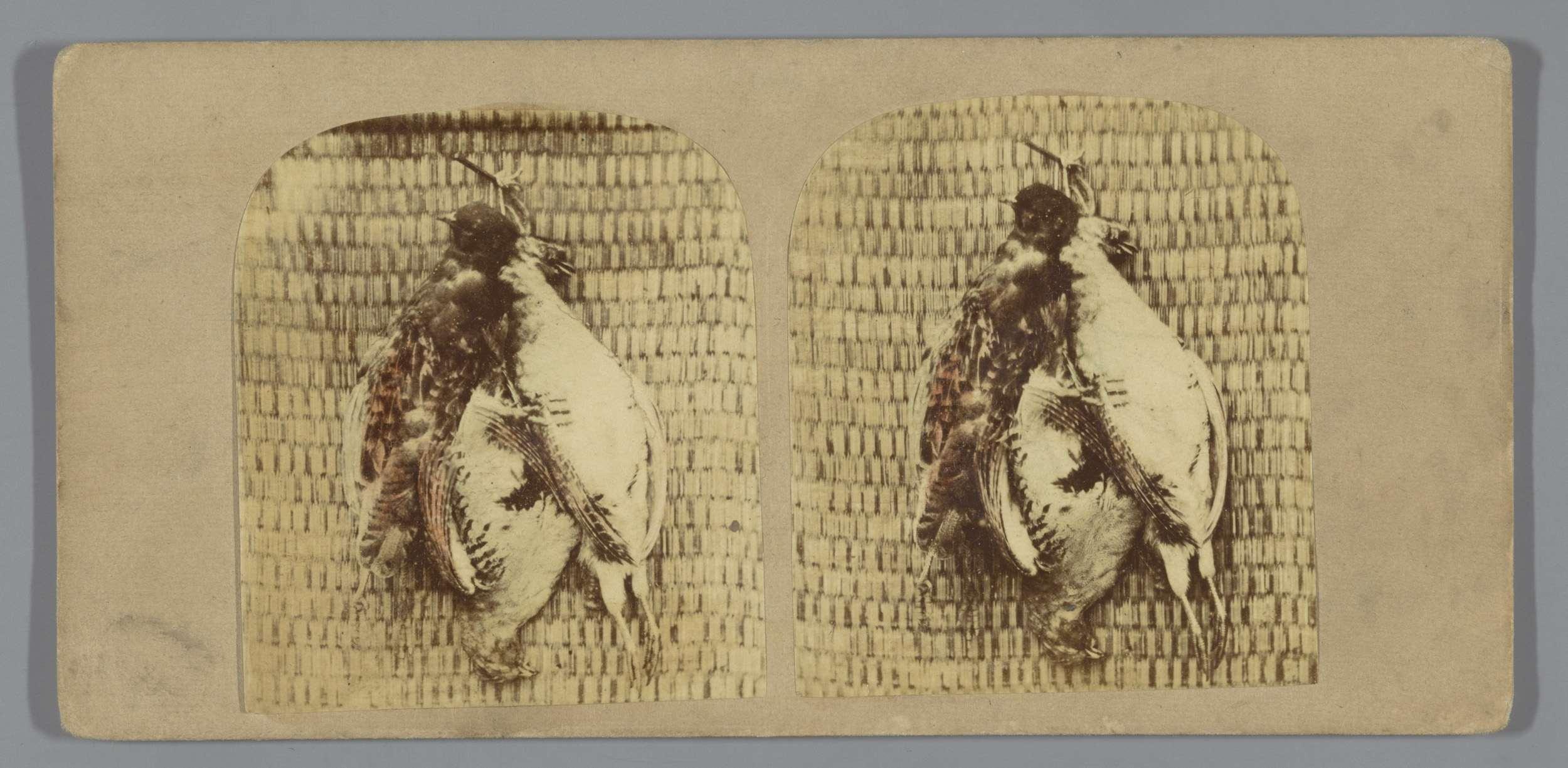 Jachttrofee met gevogelte