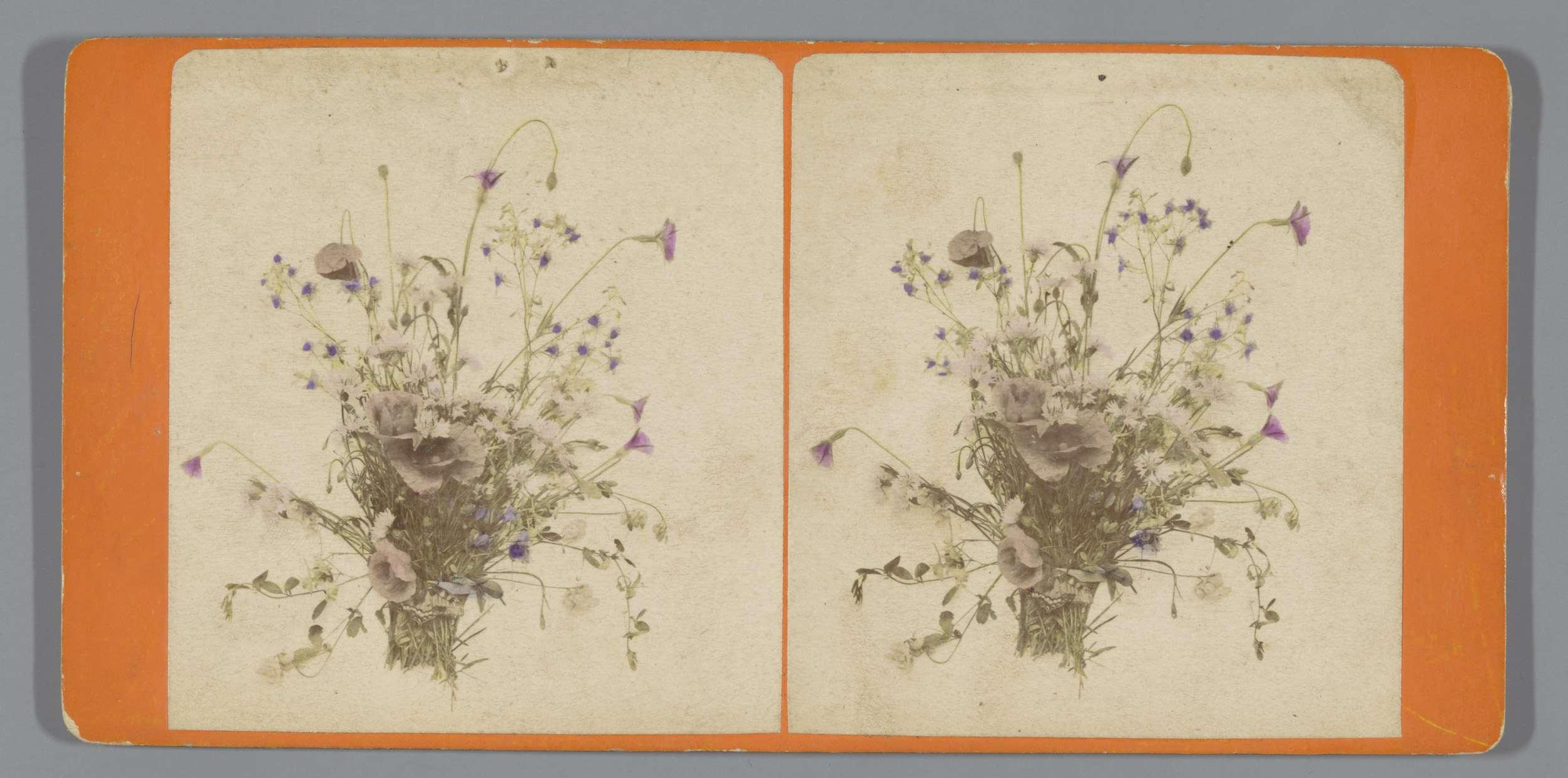Bloemstilleven van veldbloemen