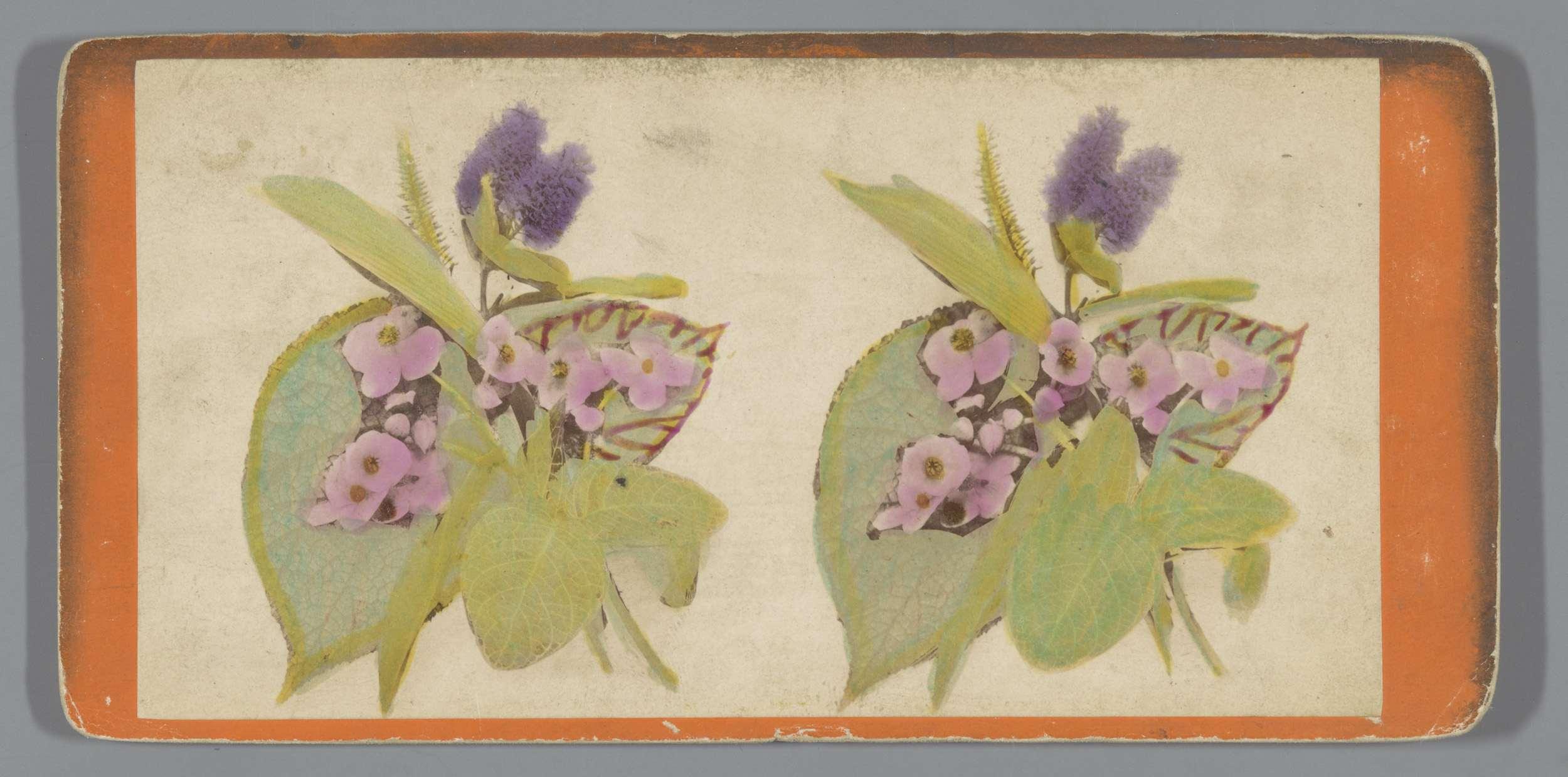 Stilleven met bladeren en bloemen