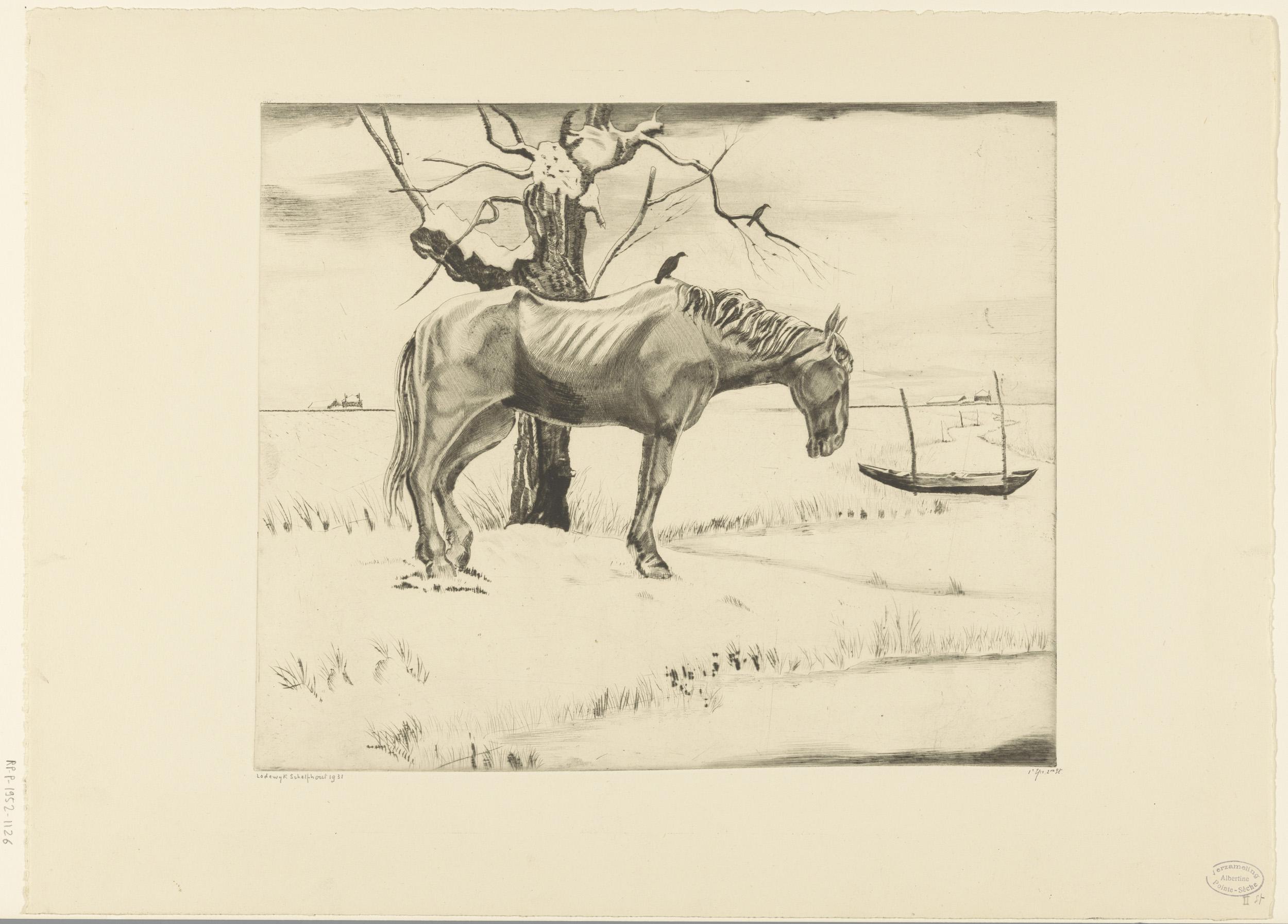 Paard in een besneeuwd landschap
