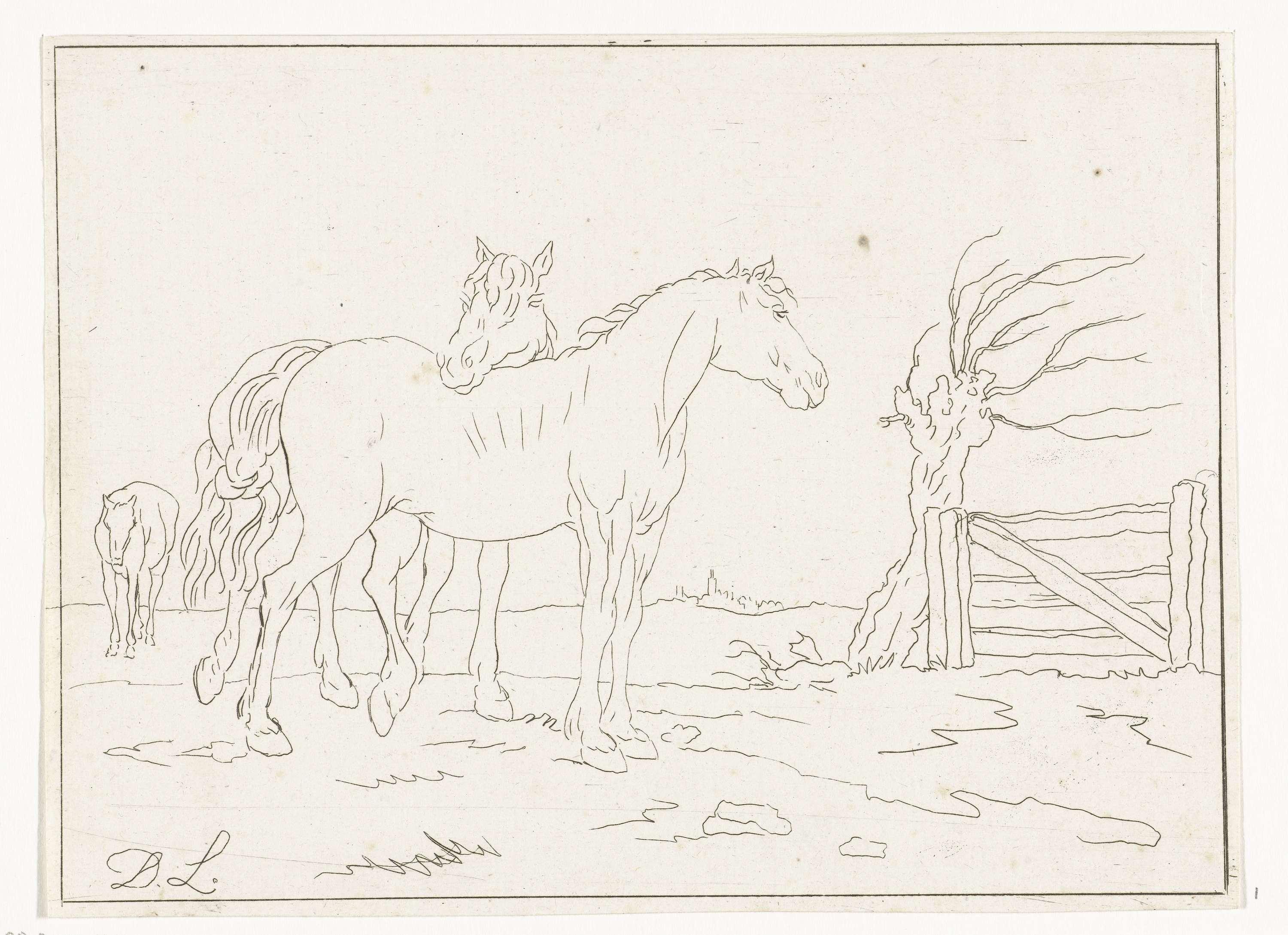 Paarden