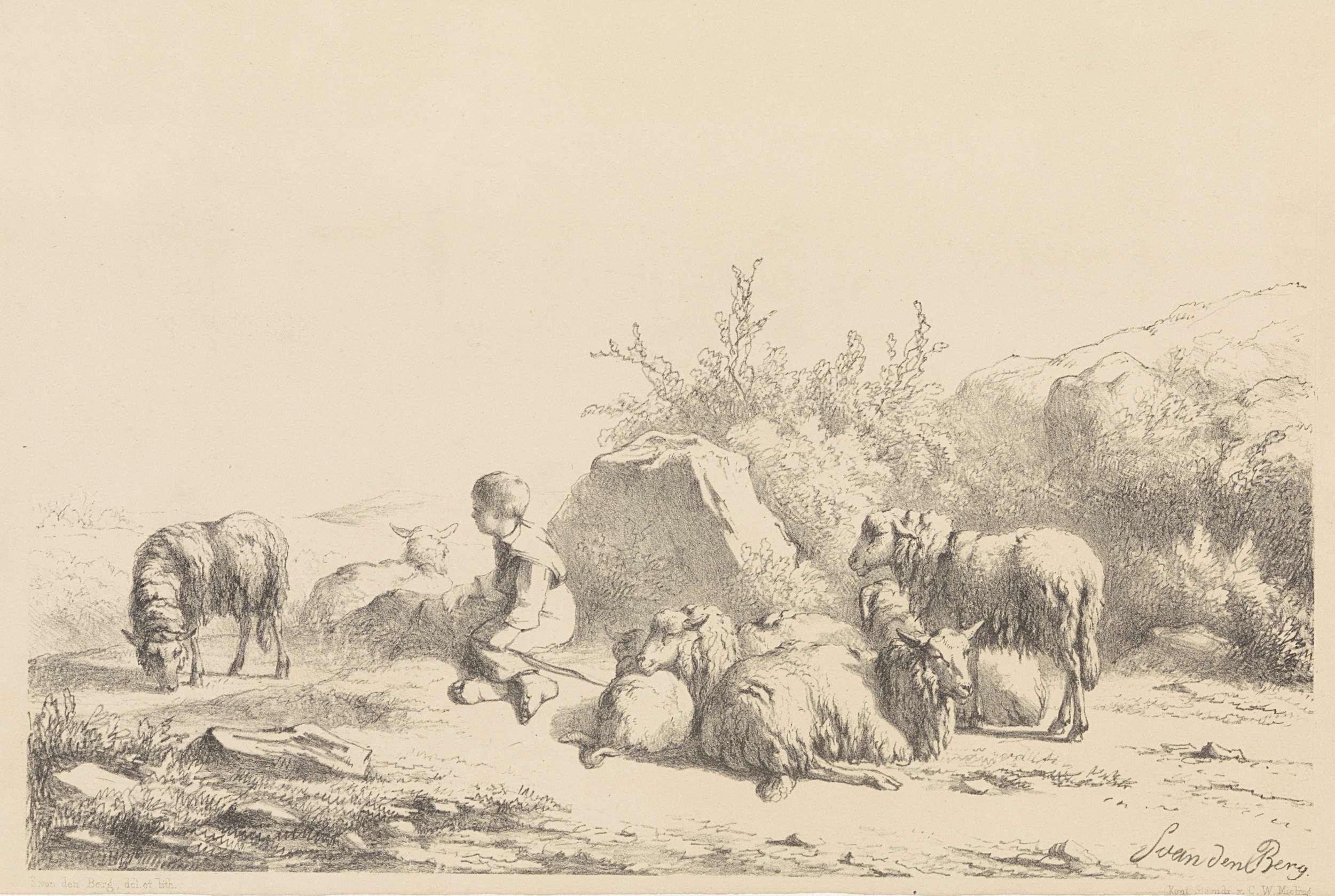 Herder en schapen