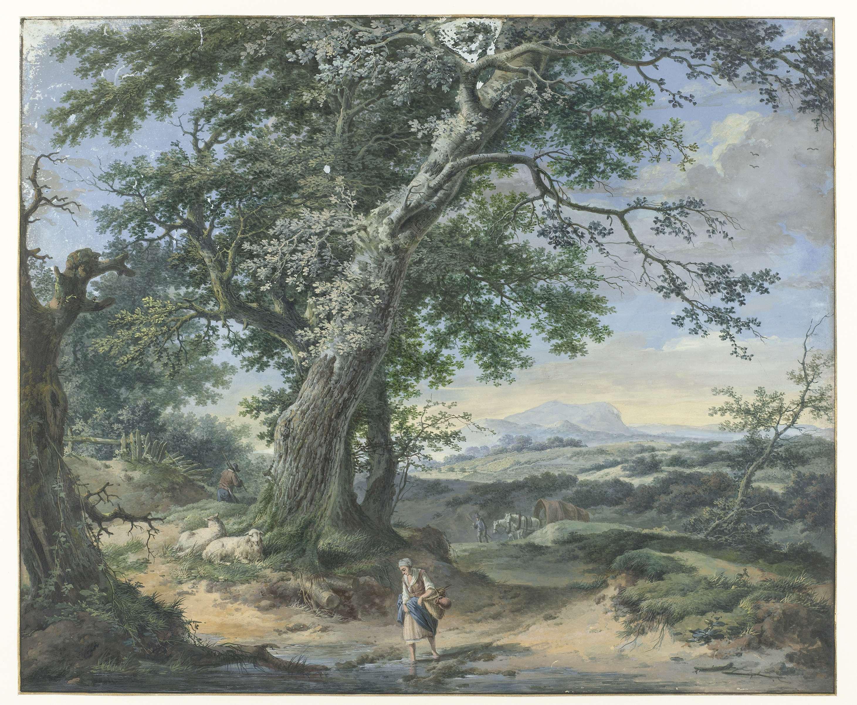 Heuvelachtig landschap met zware bomen en menselijke stoffage