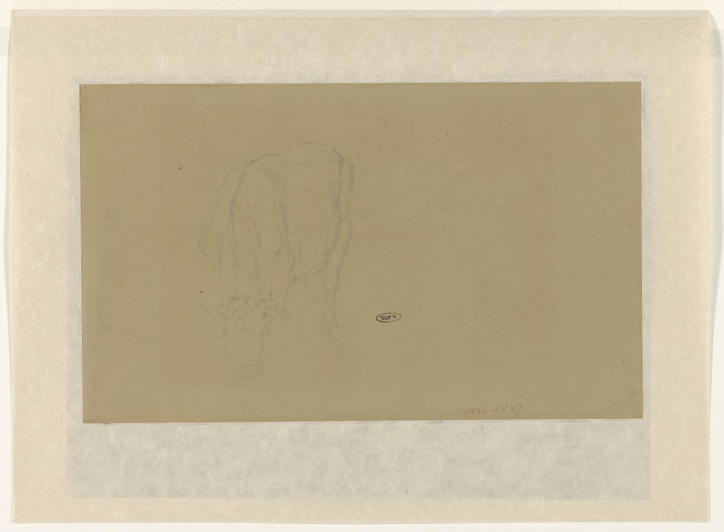 Schetsblad met studie van een grazende koe