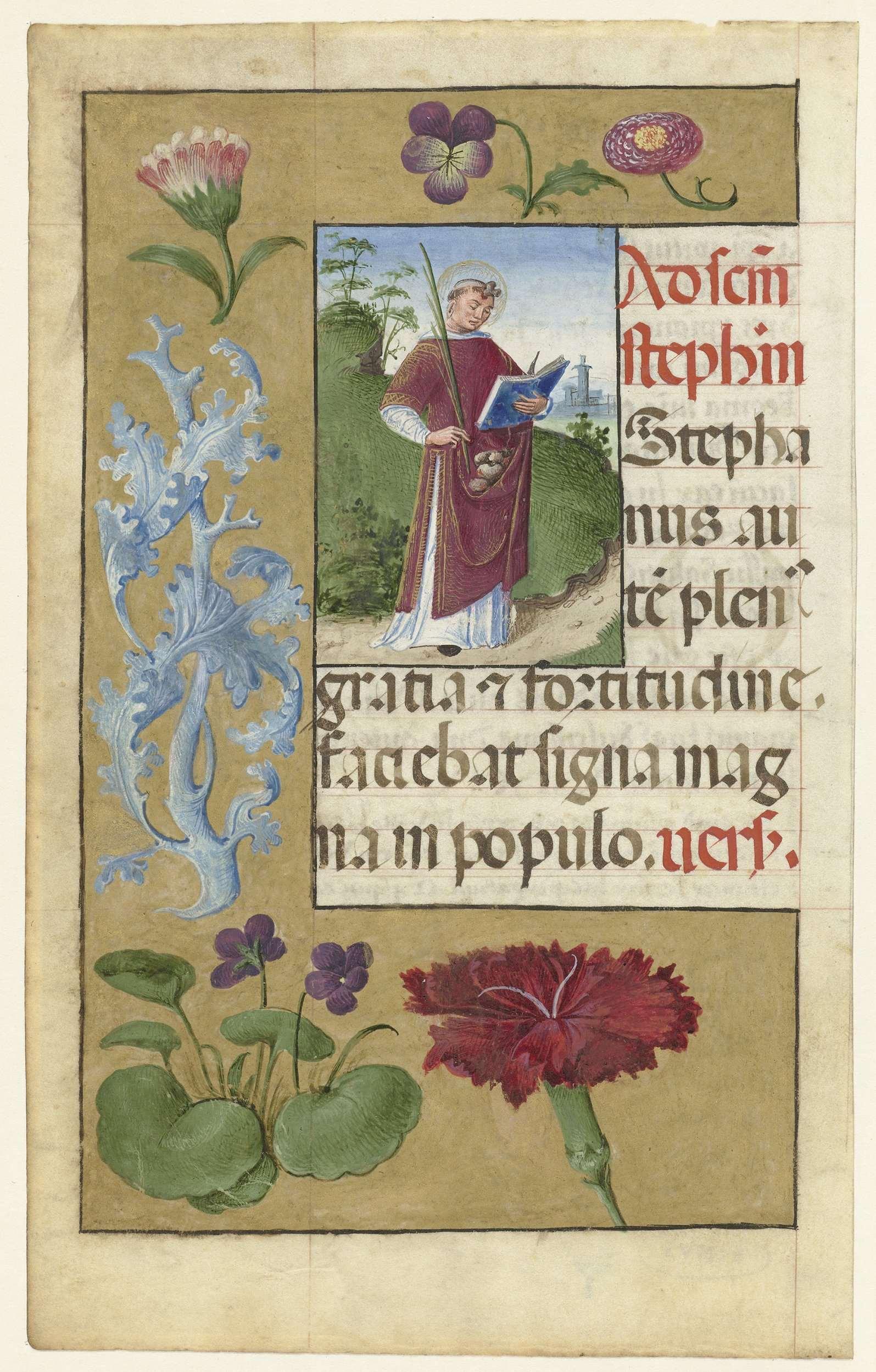 De heilige Stephanus