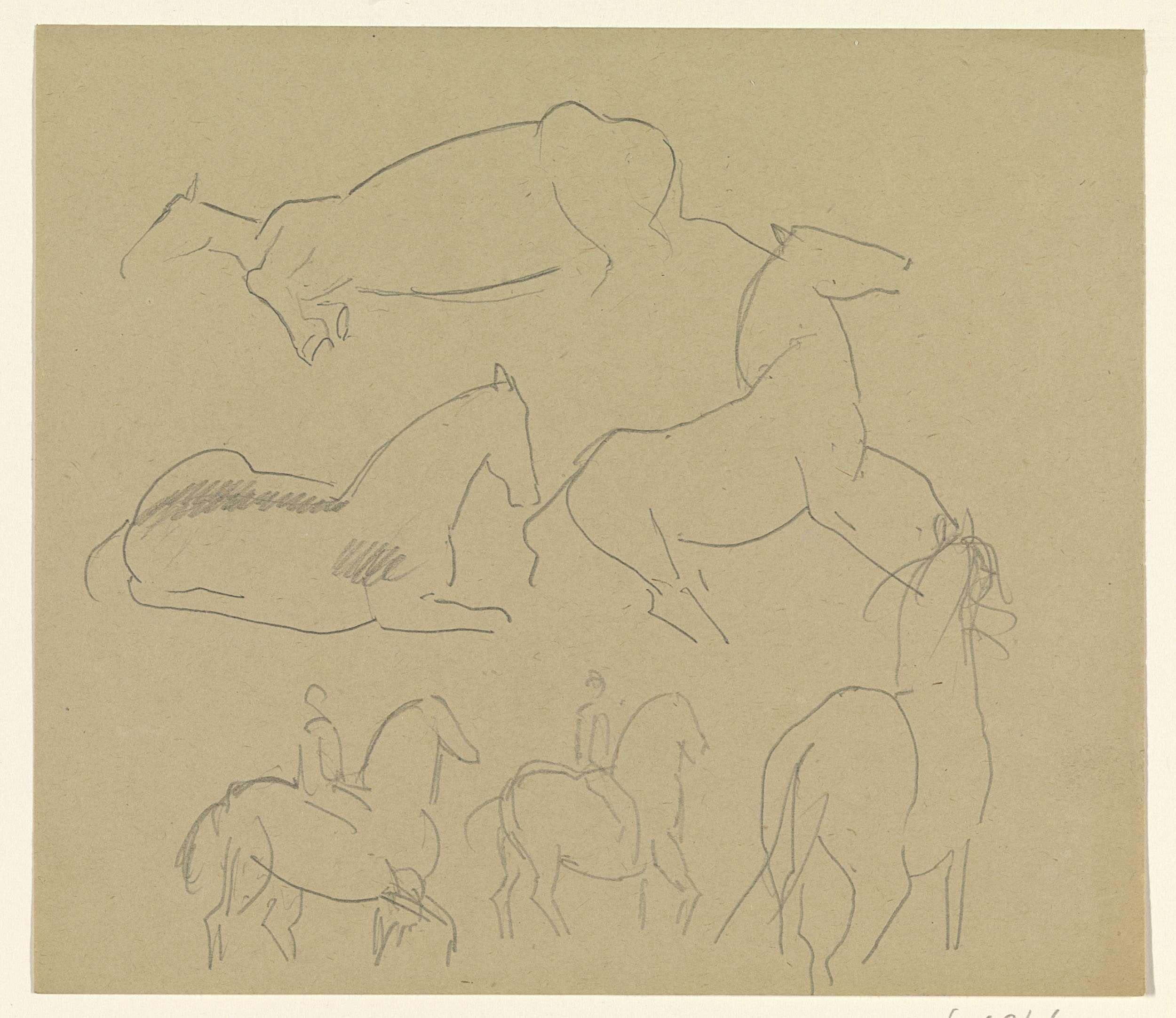 Paarden