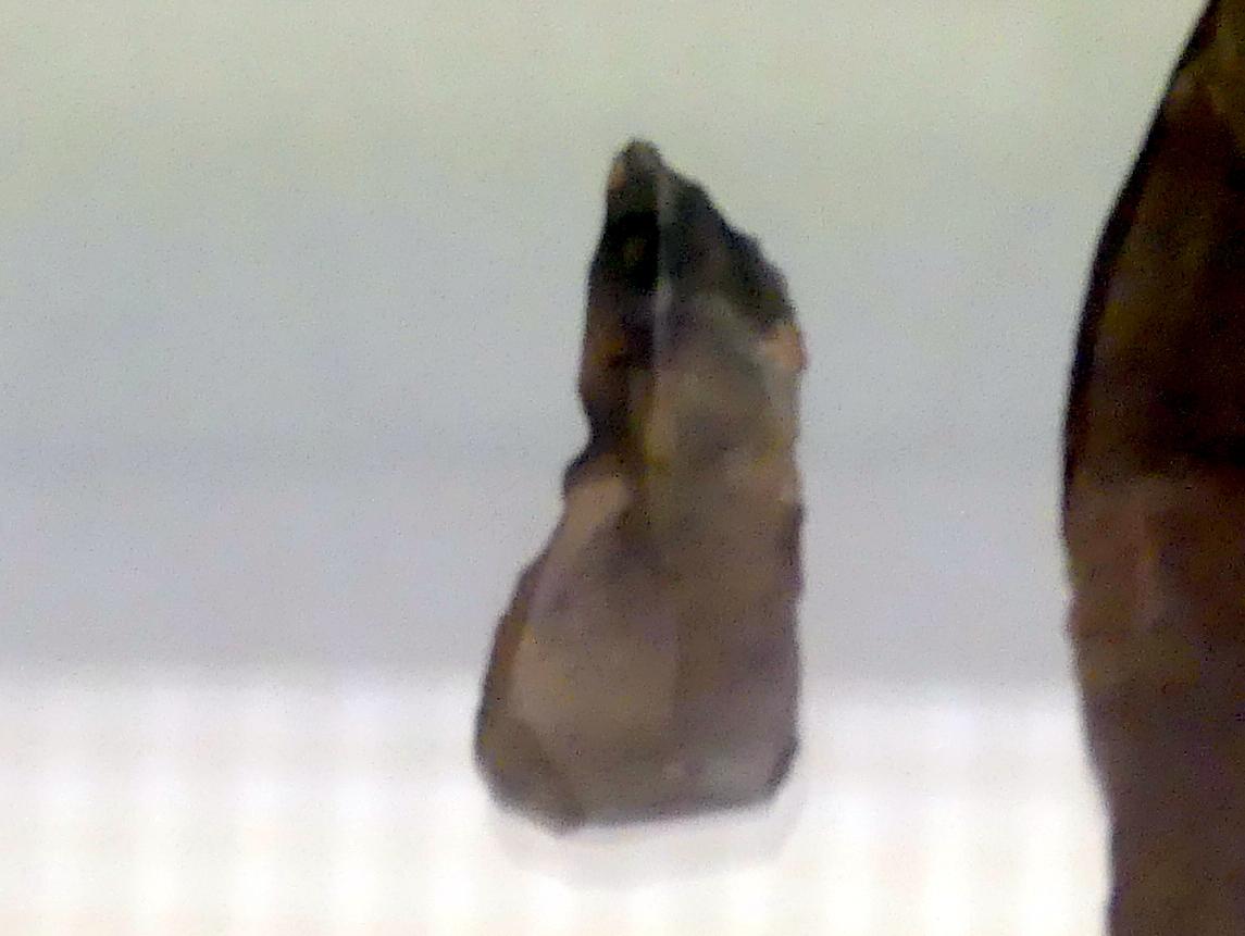 Stichel, Jungpaläolithikum, 43000 - 10000 v. Chr., Bild 1/3