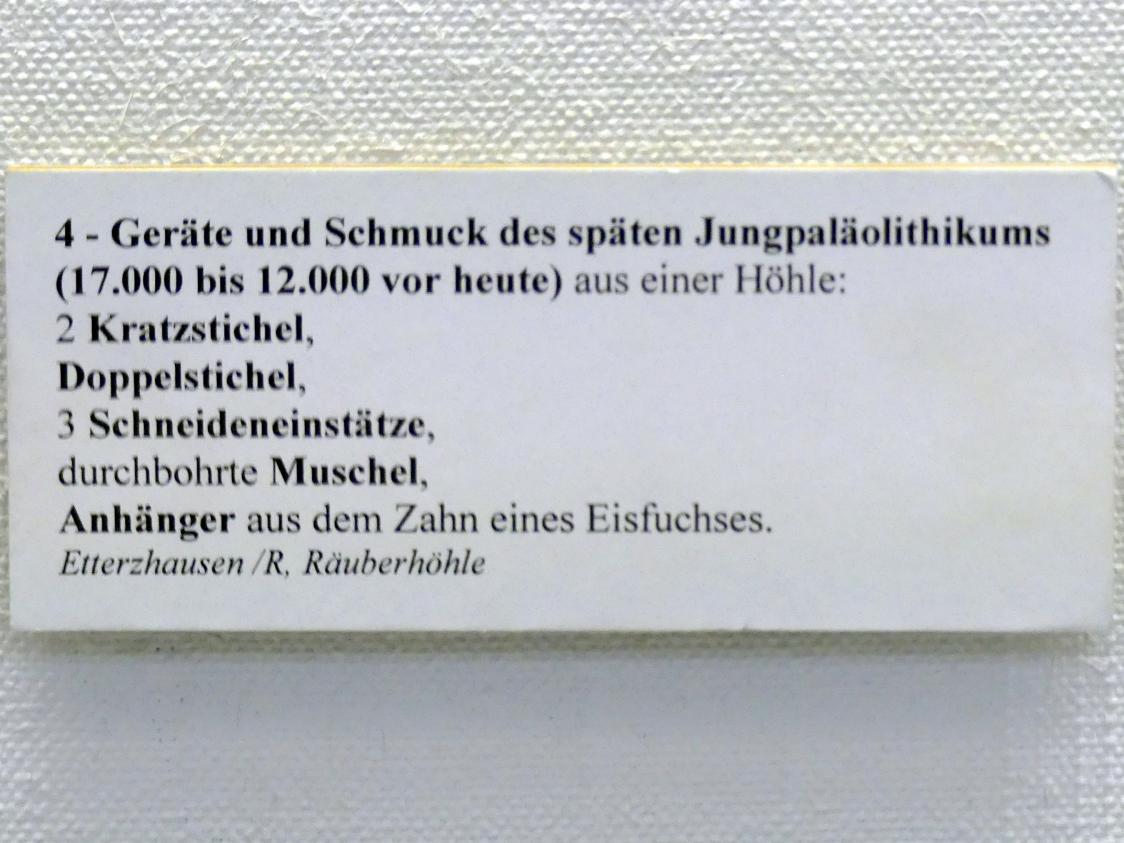 durchbohrte Muschel, Jungpaläolithikum, 43000 - 10000 v. Chr., Bild 2/2