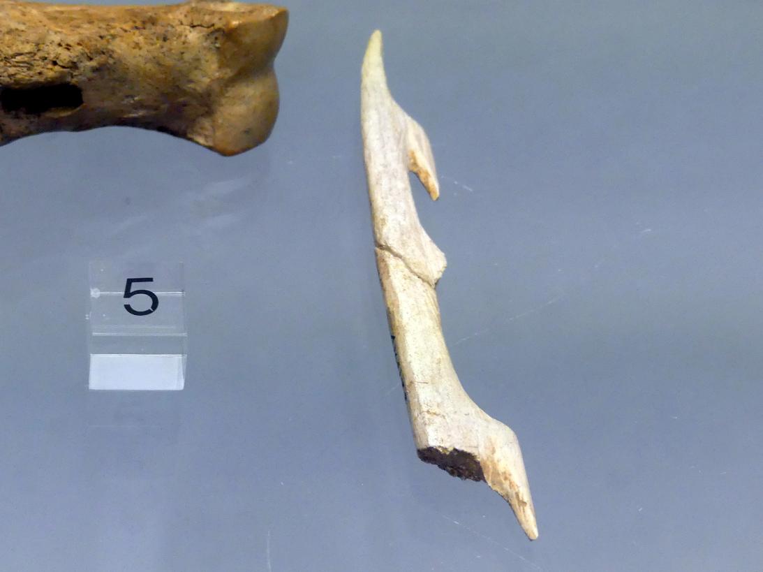 Harpune aus Knochen, Jungpaläolithikum, 43000 - 10000 v. Chr., Bild 1/2