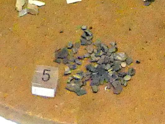 Verbrannte Schalen von gerösteten Haselnüssen, Mesolithikum, 9500 - 5500 v. Chr.