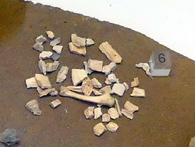 Tierknochen (unter anderem von einem Perlhuhn), Mesolithikum, 9500 - 5500 v. Chr., Bild 1/2