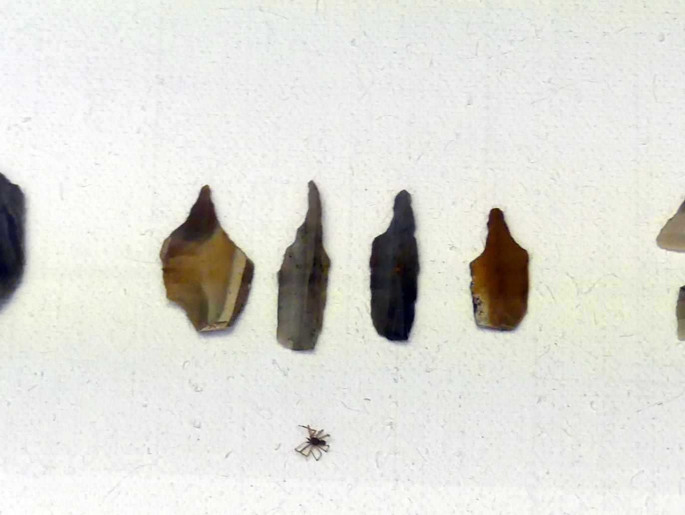 4 Bohrer, Frühneolithikum (Altneolithikum), 5500 - 4900 v. Chr., Mittelneolithikum, 5500 - 4400 v. Chr., Bild 1/2