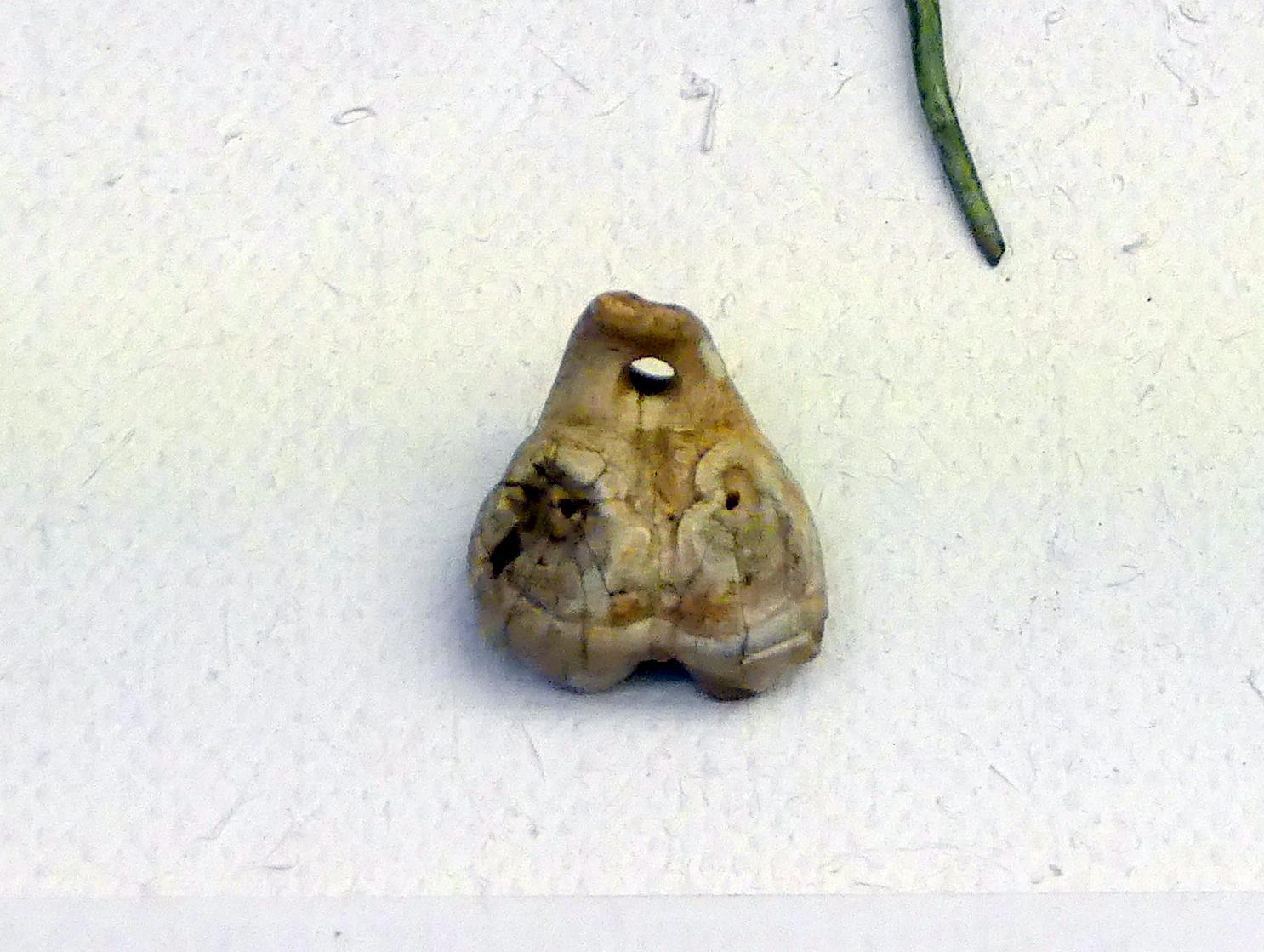 Amulett aus dem durchbohrten Zahn eines Braunbären, Frühe Bronzezeit, 3365 - 1200 v. Chr., Bild 1/2