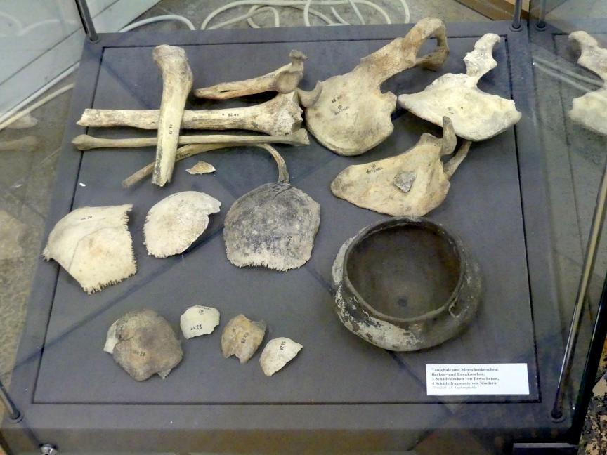 Menschenknochen, Frühlatènezeit A, 700 - 100 v. Chr., Bild 1/2