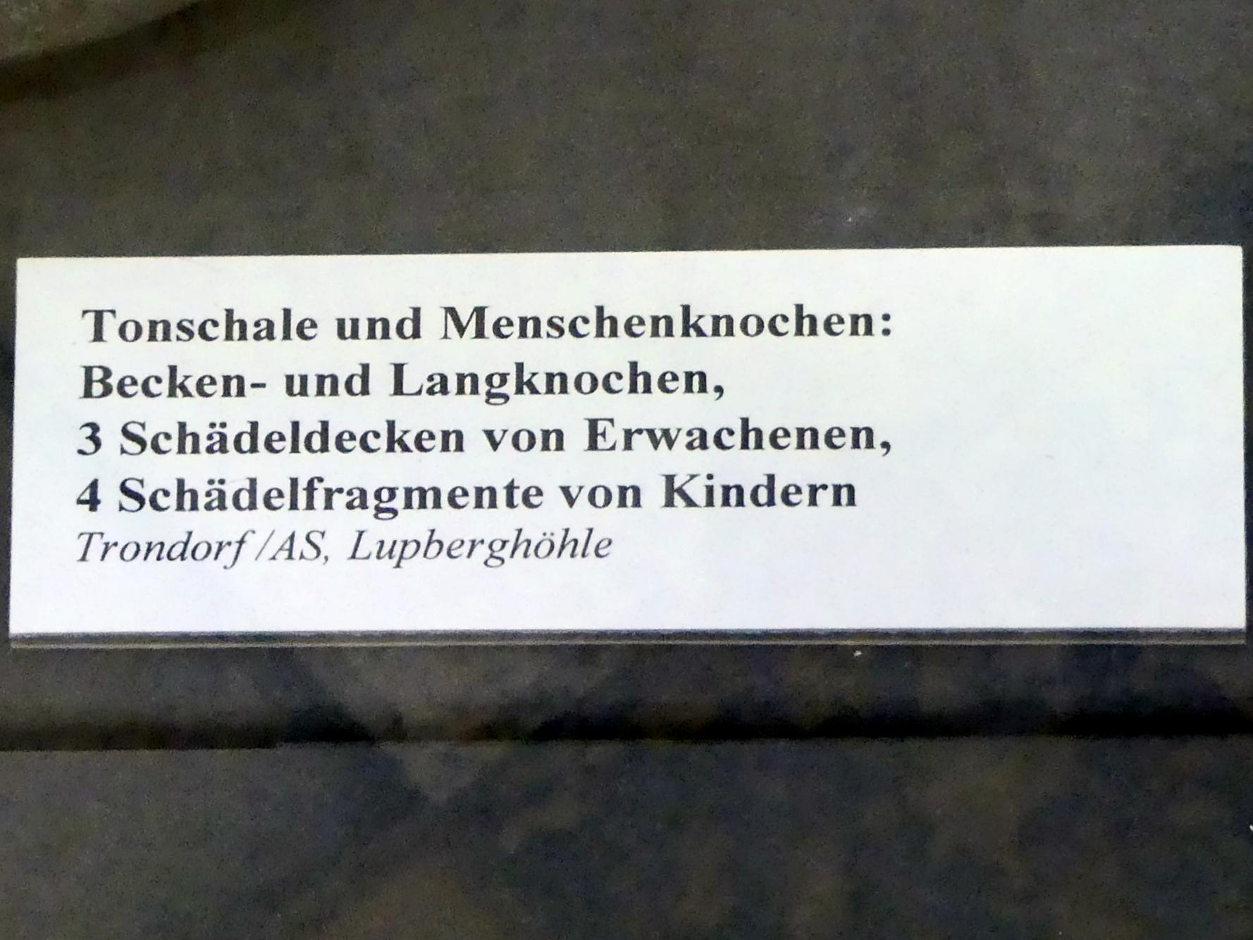 Menschenknochen, Frühlatènezeit A, 700 - 100 v. Chr., Bild 2/2