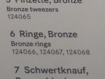 Ringe, Hallstattzeit C, Undatiert, Bild 2/2