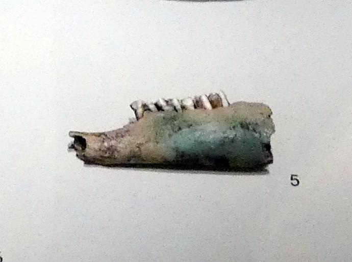 Knochen, Bruchstück, Unterkiefer Schaf oder Ziege, mit Bronzepatina, Frühlatènezeit A, 700 - 100 v. Chr.