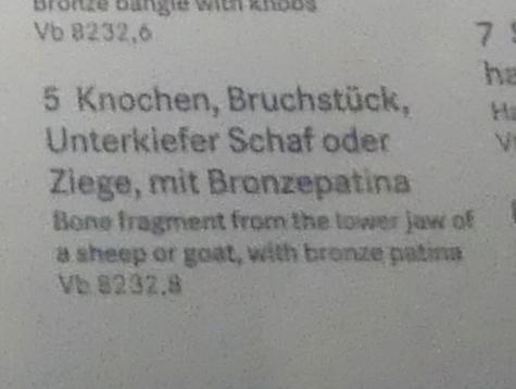 Knochen, Bruchstück, Unterkiefer Schaf oder Ziege, mit Bronzepatina, Frühlatènezeit A, 700 - 100 v. Chr., Bild 2/2