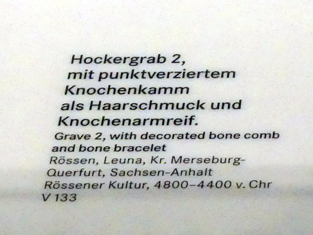 Hockergrab 2, Mittelneolithikum, 5500 - 4400 v. Chr., 4800 - 4400 v. Chr., Bild 2/2