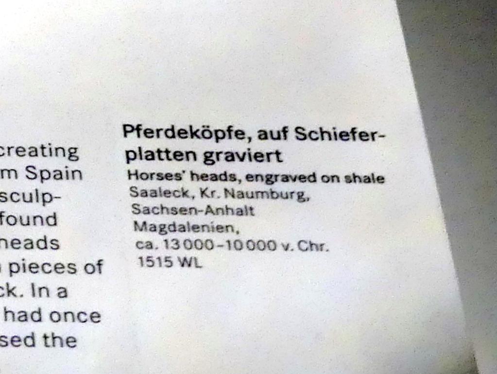 Pferdeköpfe, auf Schieferplatten, graviert, Magdalénien, 13000 - 10000 v. Chr., 13000 - 10000 v. Chr., Bild 2/3