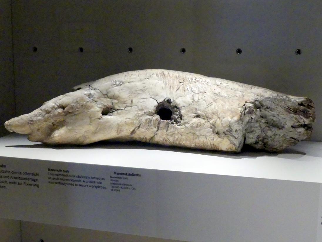 Amboss, Mammutstoßzahn, Mittelpaläolithikum, 200000 - 31000 v. Chr., 140000 - 43000 v. Chr.