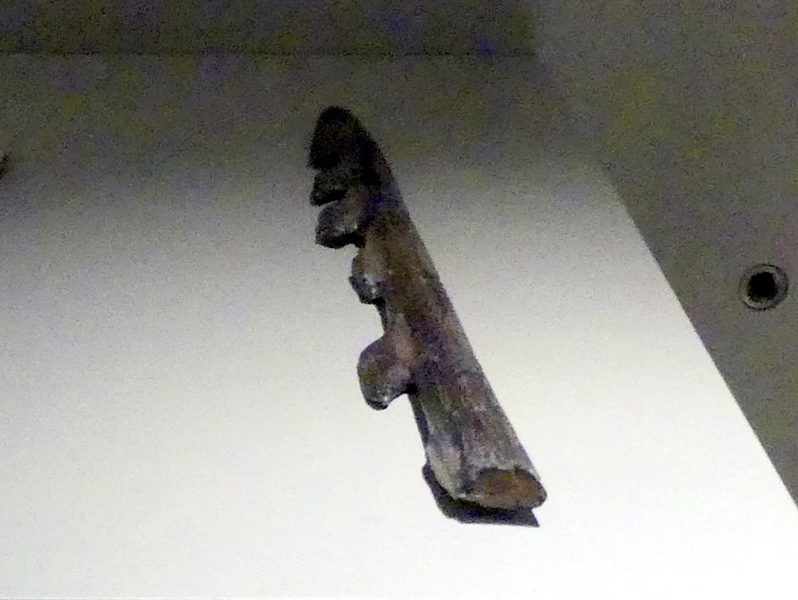 Einreihige Harpune, Mesolithikum, 9500 - 5500 v. Chr., Spätpaläolithikum, 13000 - 10000 v. Chr., 9500 v. Chr., Bild 1/2
