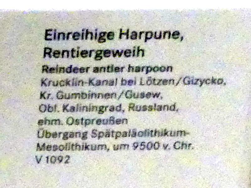 Einreihige Harpune, Mesolithikum, 9500 - 5500 v. Chr., Spätpaläolithikum, 13000 - 10000 v. Chr., 9500 v. Chr., Bild 2/2