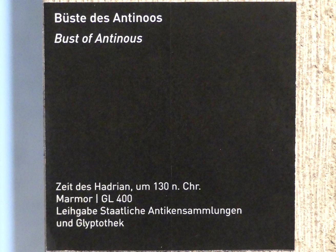 Büste des Antinoos, Römische Kaiserzeit, 27 v. Chr. - 54 n. Chr., 130, Bild 3/3