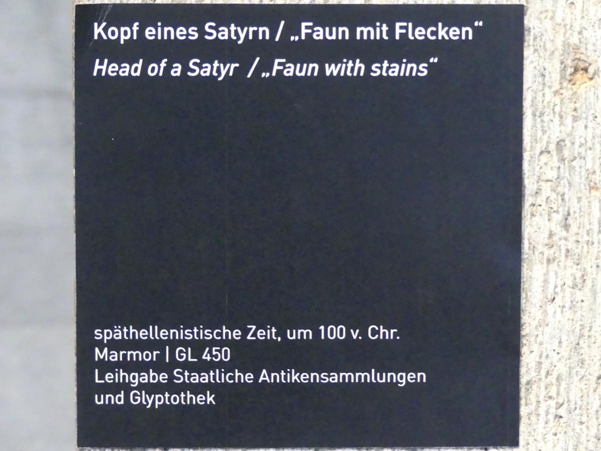 Kopf eines Satyrn / "Faun mit Flecken", Ptolemäisch-römische Zeit, 100 v. Chr. - 100 n. Chr., 100 v. Chr., Bild 4/4