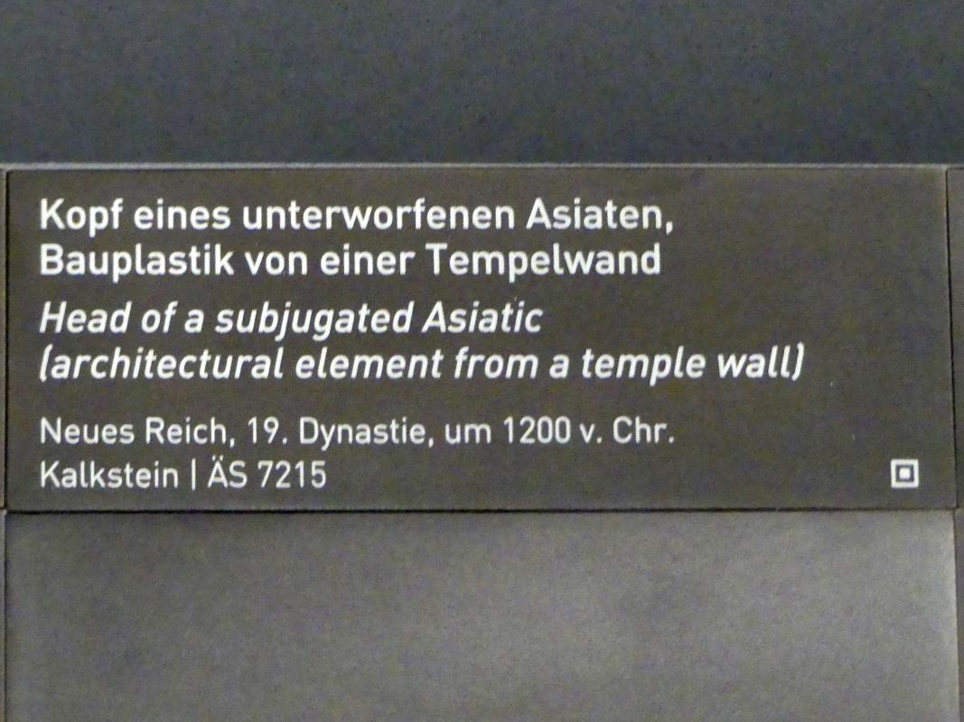 Kopf eines unterworfenen Asiaten, Bauplastik von einer Tempelwand, 19. Dynastie, 953 - 887 v. Chr., 1200 v. Chr., Bild 2/2