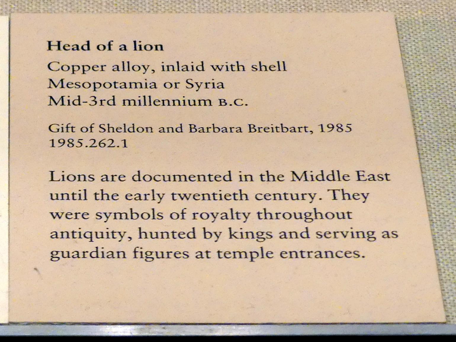 Löwenkopf, 2500 v. Chr., Bild 2/2