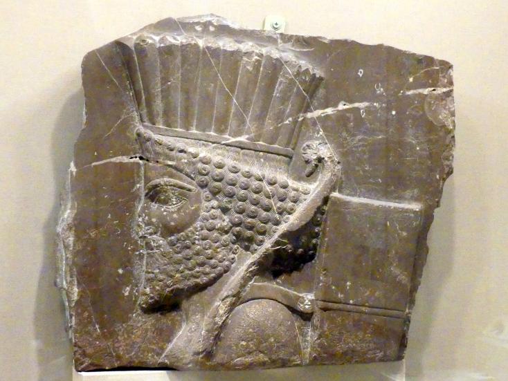 Kopf eines persischen Wächters, Altpersisches Reich, 600 - 300 v. Chr., 485 - 465 v. Chr., Bild 1/2
