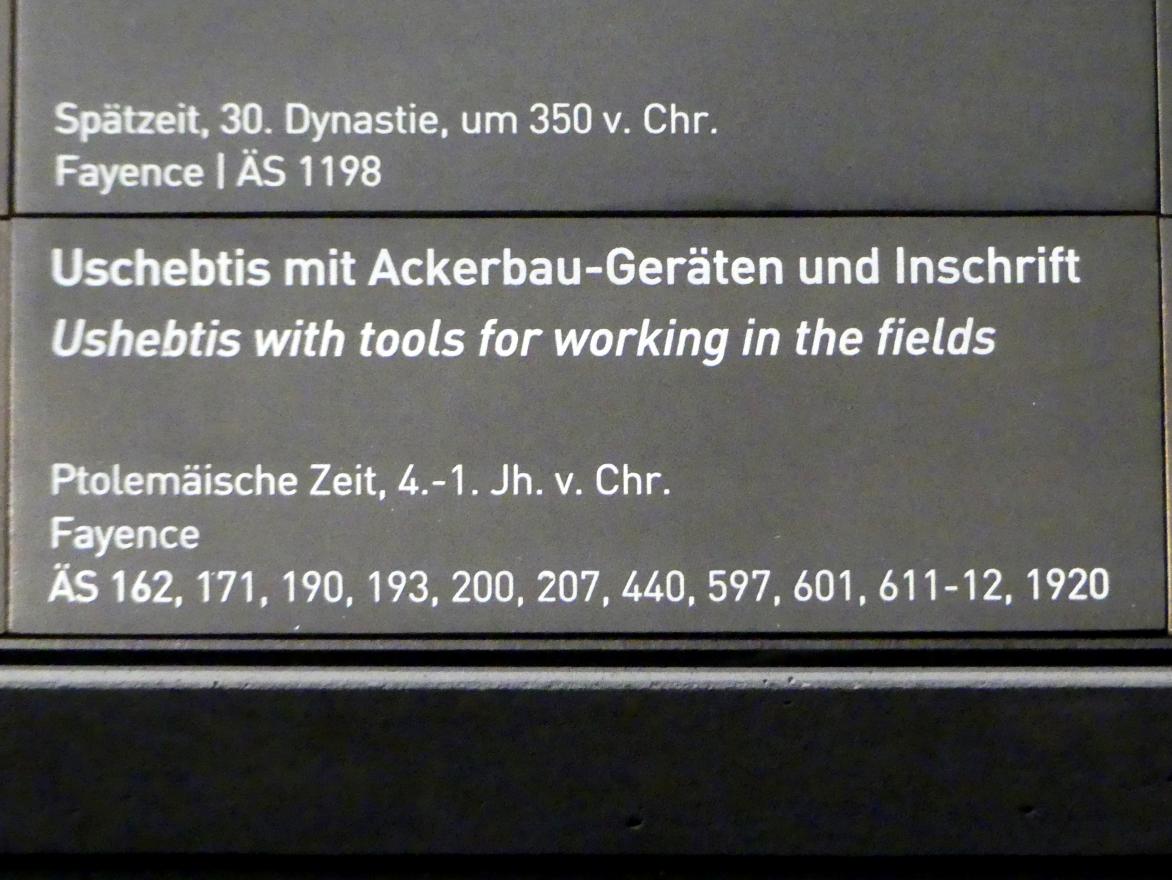 Uschebtis mit Ackerbau-Geräten und Inschrift, Ptolemäische Zeit, 400 v. Chr. - 1 n. Chr., 400 - 1 v. Chr., Bild 2/2